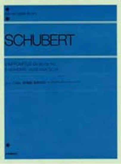 シューベルト　即興曲･楽興の時 SCHUBERT