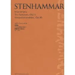 ステーンハンマル　即興曲／３つの幻想曲　作品１１／晩夏の夜