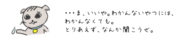 ・・・ま、いいや。わかんないやつには、わかんなくても。とりあえず、なんかきこうぜ。