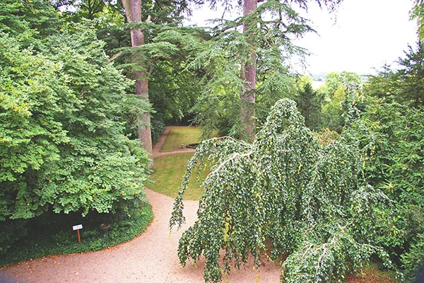 ショパンの部屋からの眺め