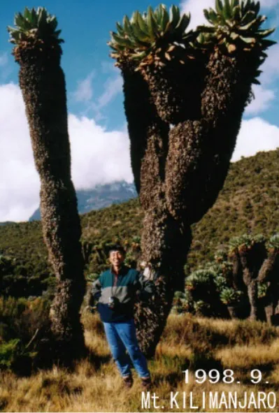 キリマンジャロの風景