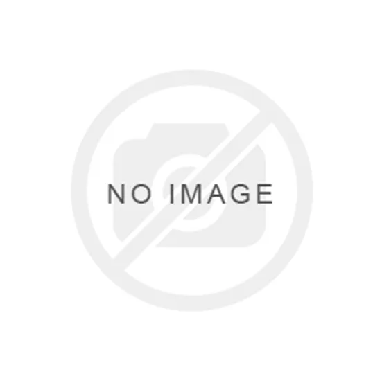 ぷりんと楽譜：ホール・ニュー・ワールド「アラジンより」（初～中級）